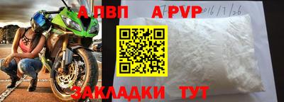 герыч Кингисепп