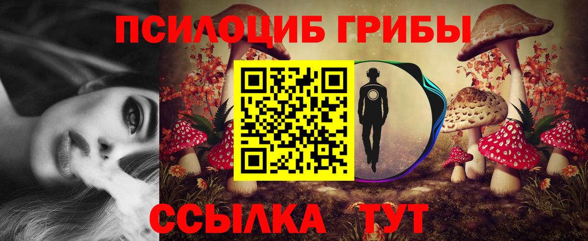 Галлюциногенные грибы мухоморы Красноярск