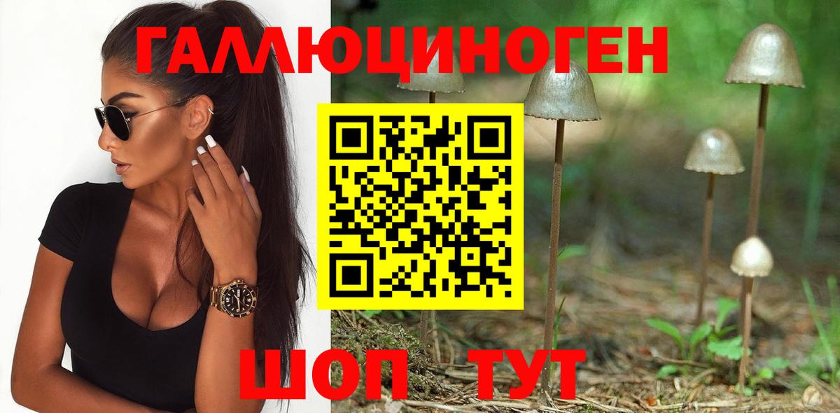 Красноярск  даркнет сайт  Вход с VPN  Псилоцибиновые грибы мухоморы 